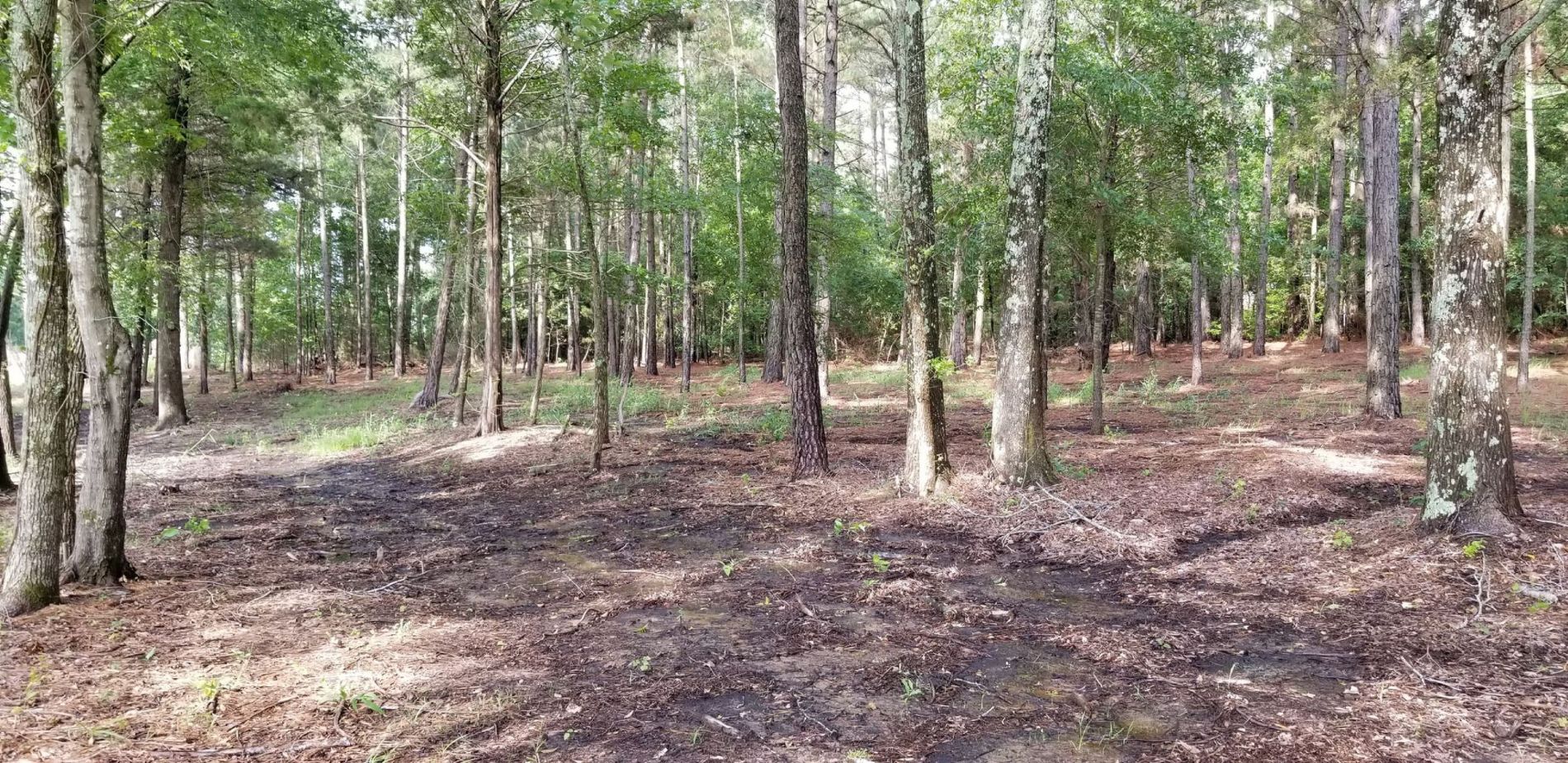 Texas FSBO For Sale by Owner & Flat Fee MLS