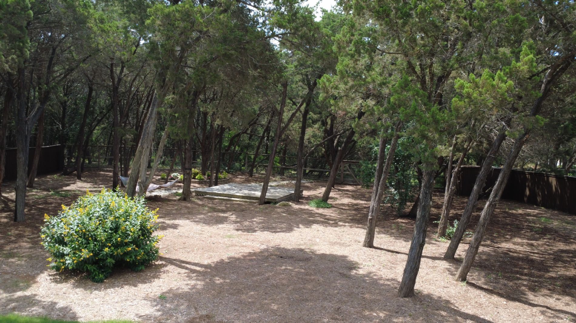Back yard wooded